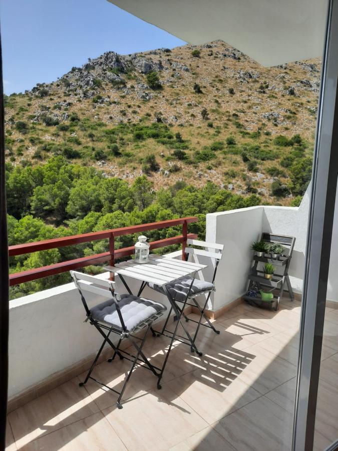 Appartement Cozy Estudio 